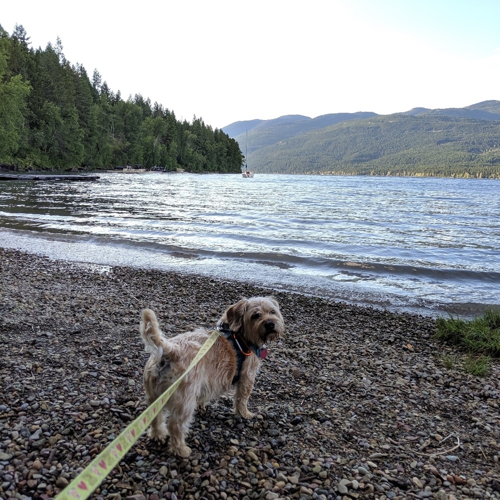 Meet your Posher, Elizabeth